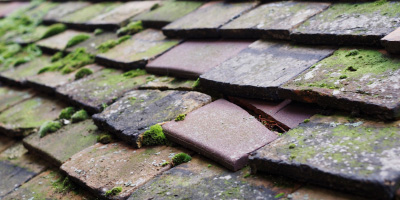 Blaenau roof repair costs